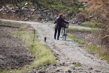 餌を運ぶ高齢者の女性