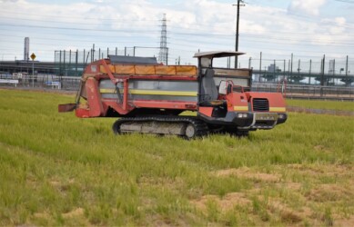 散布するカタピラ車