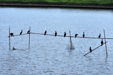 個体距離を保つ