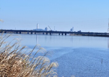 伊勢湾藤前干潟方面