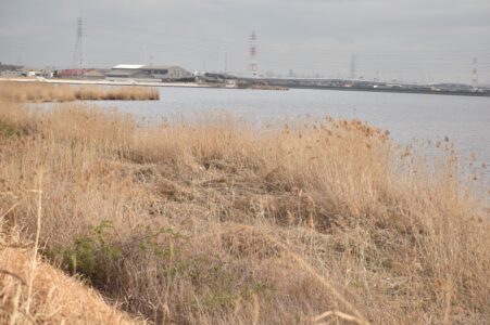 日光川と善太川の合流地点