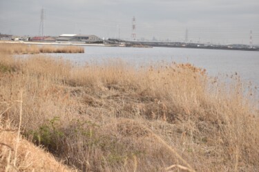 日光川と善太川の合流地点