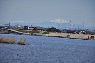 日光川から望む御嶽山と乗鞍岳?