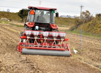 耕運機を追いかけるアマサギ