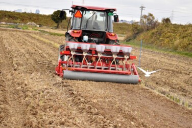 耕運機を追いかけるアマサギ