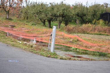 天童のイバラトミヨの保存池
