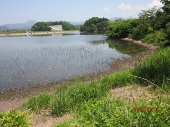 原崎沼