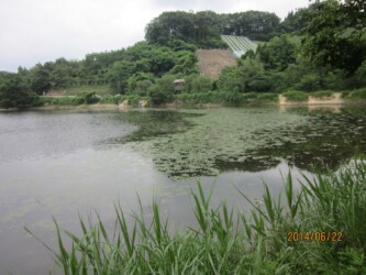 原崎沼