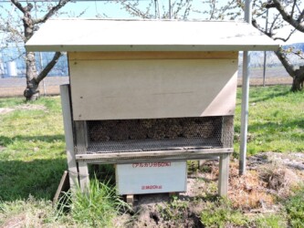 ヨシの茎を置いてある小屋