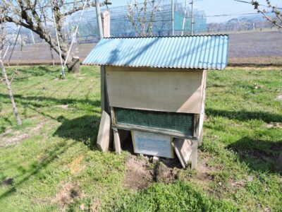 ヨシの茎を置いてある小屋