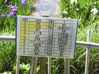 庄内緑地の系統名と品種名の掲示板