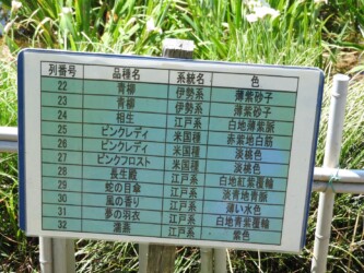 庄内緑地の系統名と品種名の掲示板
