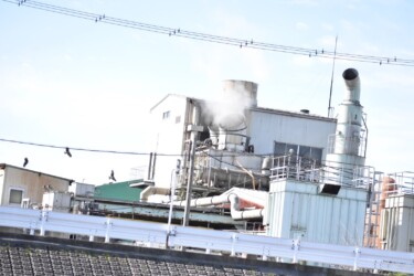 骨粉工場の上空を飛ぶトビの群れ