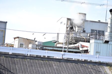 骨粉工場の上空を飛ぶトビの群れ