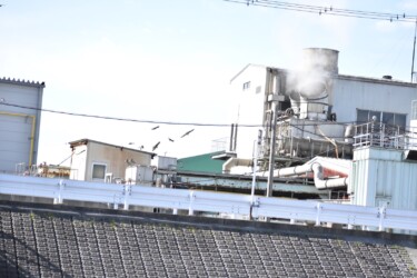 骨粉工場の上空を飛ぶトビの群れ