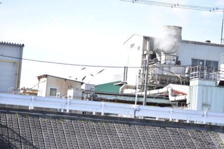骨粉工場の上空を飛ぶトビの群れ