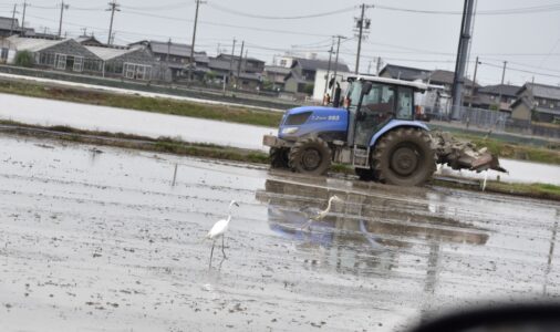 地ならしする耕運機