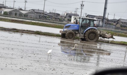 地ならしする耕運機