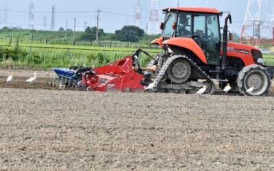 耕運機の後を追いかけるアマサギ