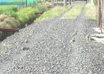 また座り込んでしまった