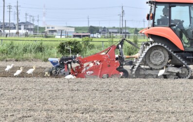 種まき機の後を追いかける